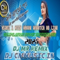 Jile Le Jile Le (Hindi 1 Step Broom Monster 8D Lion Compilation Stock Humming Mix 2025) Dj MR Remix (DjCmMusic.In)
