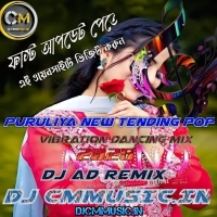 Sukha Gache Ameri Mokul (Puruliya New Tending Pop Vibration Dancing Mix 2025)   Dj AD Remix (DjCmMusic.In)