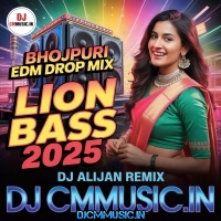 Sham Hai Dhuan Dhuan   Bhojpuri Edm Drop Lion Bass Mix 2025 Dj Alijan Remix (DjCmMusic.In)